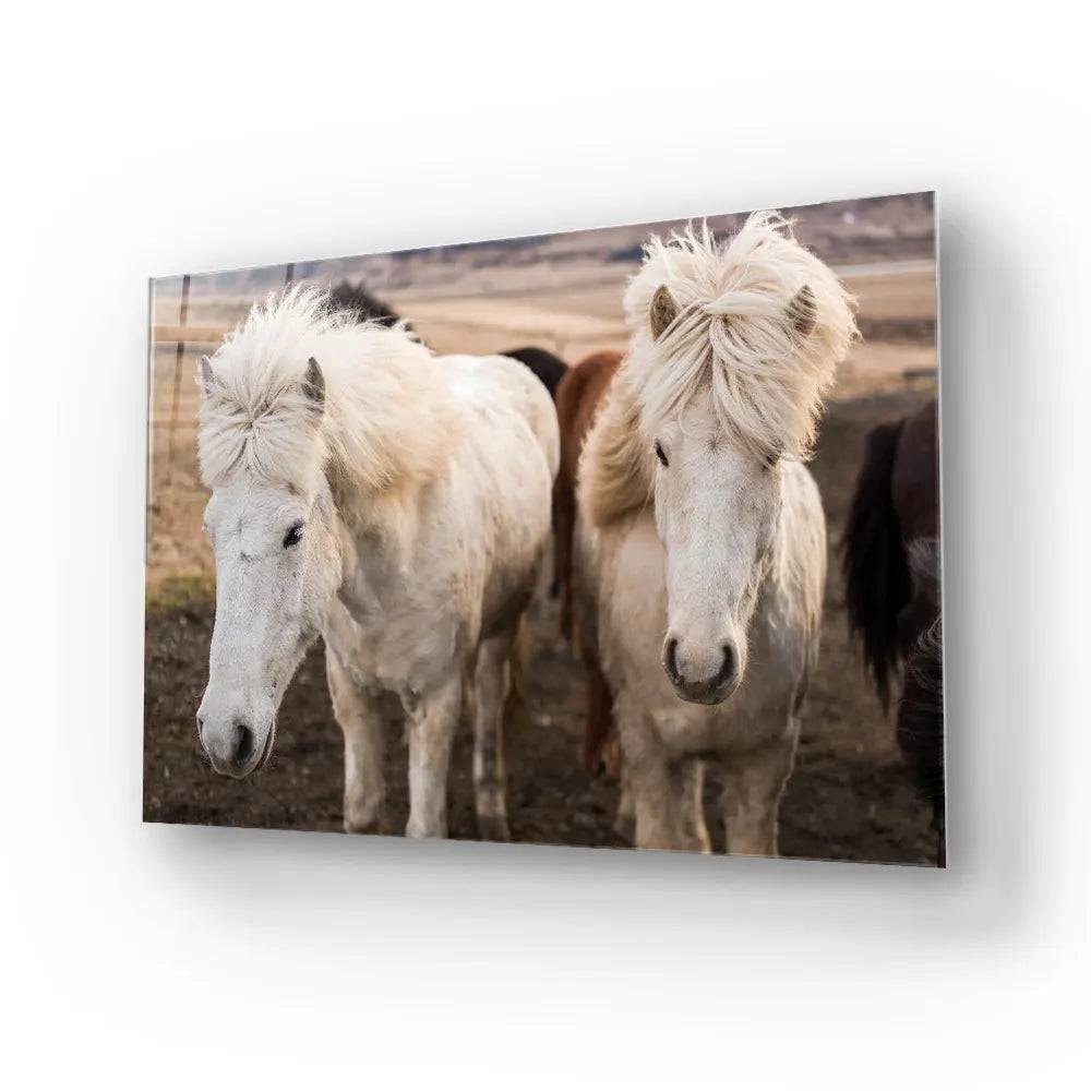 Horse Stable Glass Wall Art - CreoGlass E-Shop