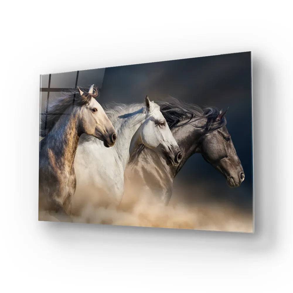 Horses With Long Mane Portrait Running In Desert Glass Wall Art - CreoGlass E-Shop