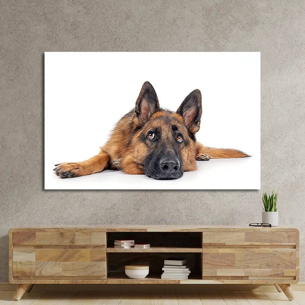Large German Shepherd Dog Resting Glass Wall Art - CreoGlass E-Shop
