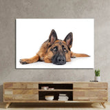 Large German Shepherd Dog Resting Glass Wall Art - CreoGlass E-Shop