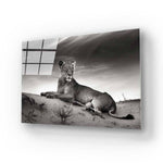 Lioness in the Desert Glass Wall Art - CreoGlass E-Shop