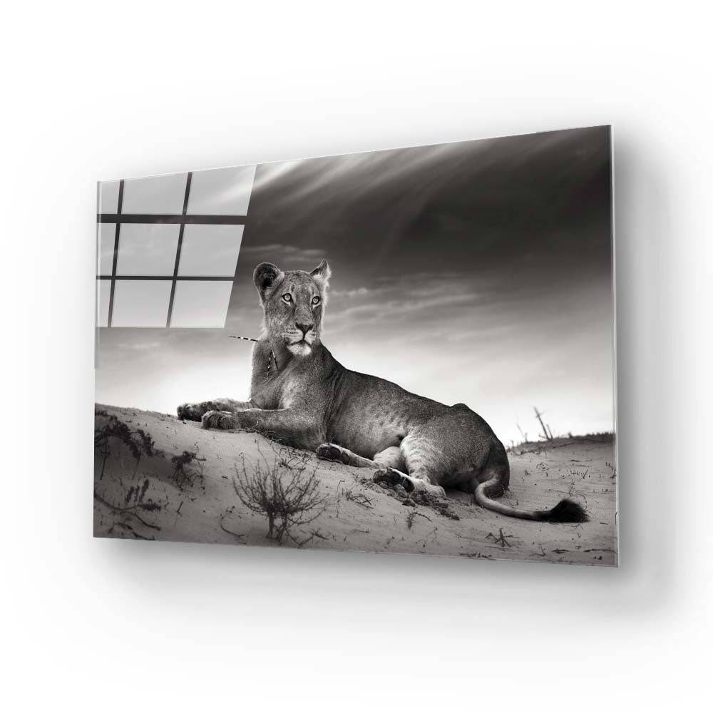 Lioness in the Desert Glass Wall Art - CreoGlass E-Shop