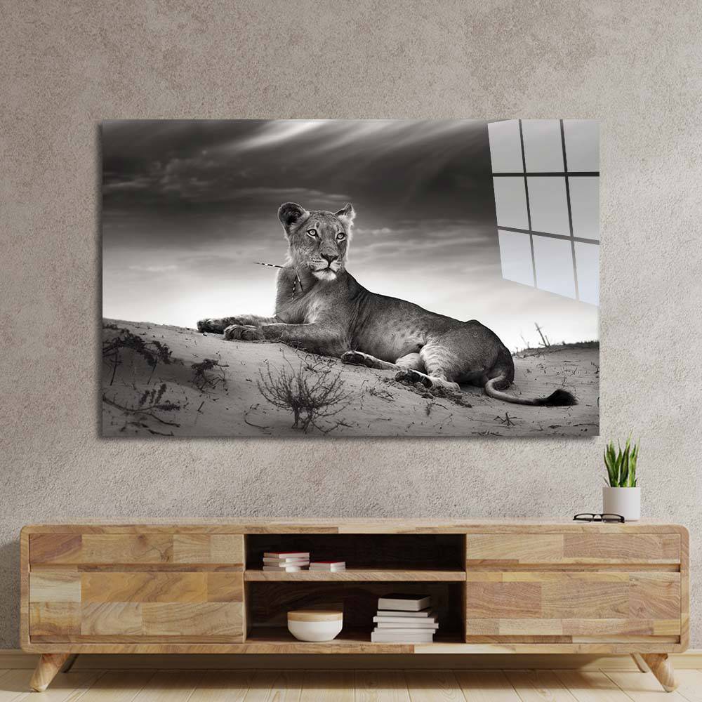 Lioness in the Desert Glass Wall Art - CreoGlass E-Shop