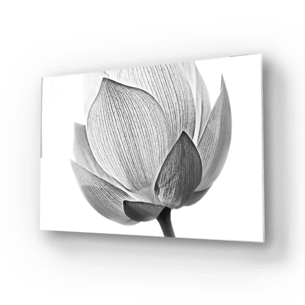 Lotus Black and White 2 Glass Wall Art - CreoGlass E-Shop