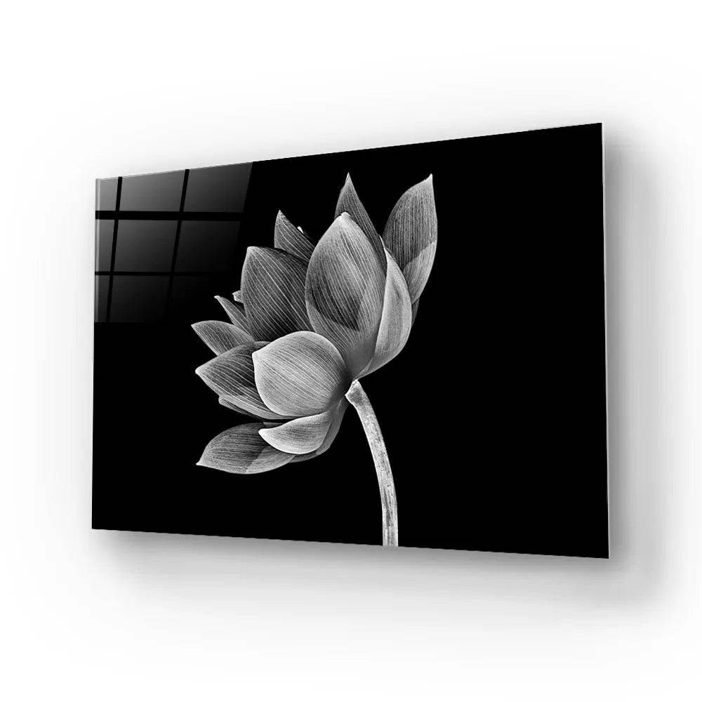 Lotus Black and White Glass Wall Art - CreoGlass E-Shop