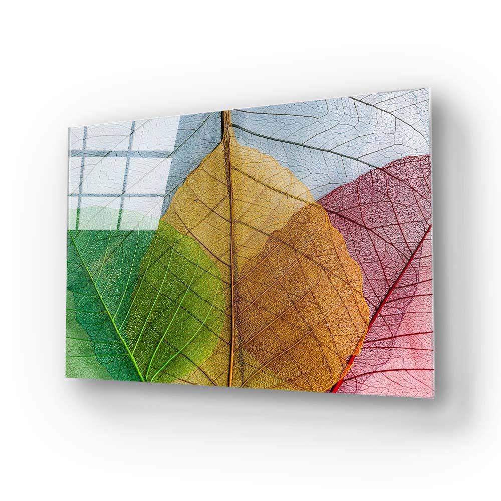 Multi-Coloured Leaves Glass Wall Art - CreoGlass E-Shop
