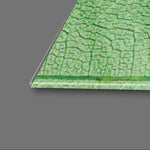 Multi-Coloured Leaves Glass Wall Art - CreoGlass E-Shop