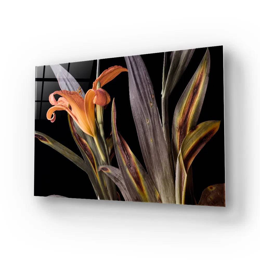 Orange Lily Glass Wall Art - CreoGlass E-Shop