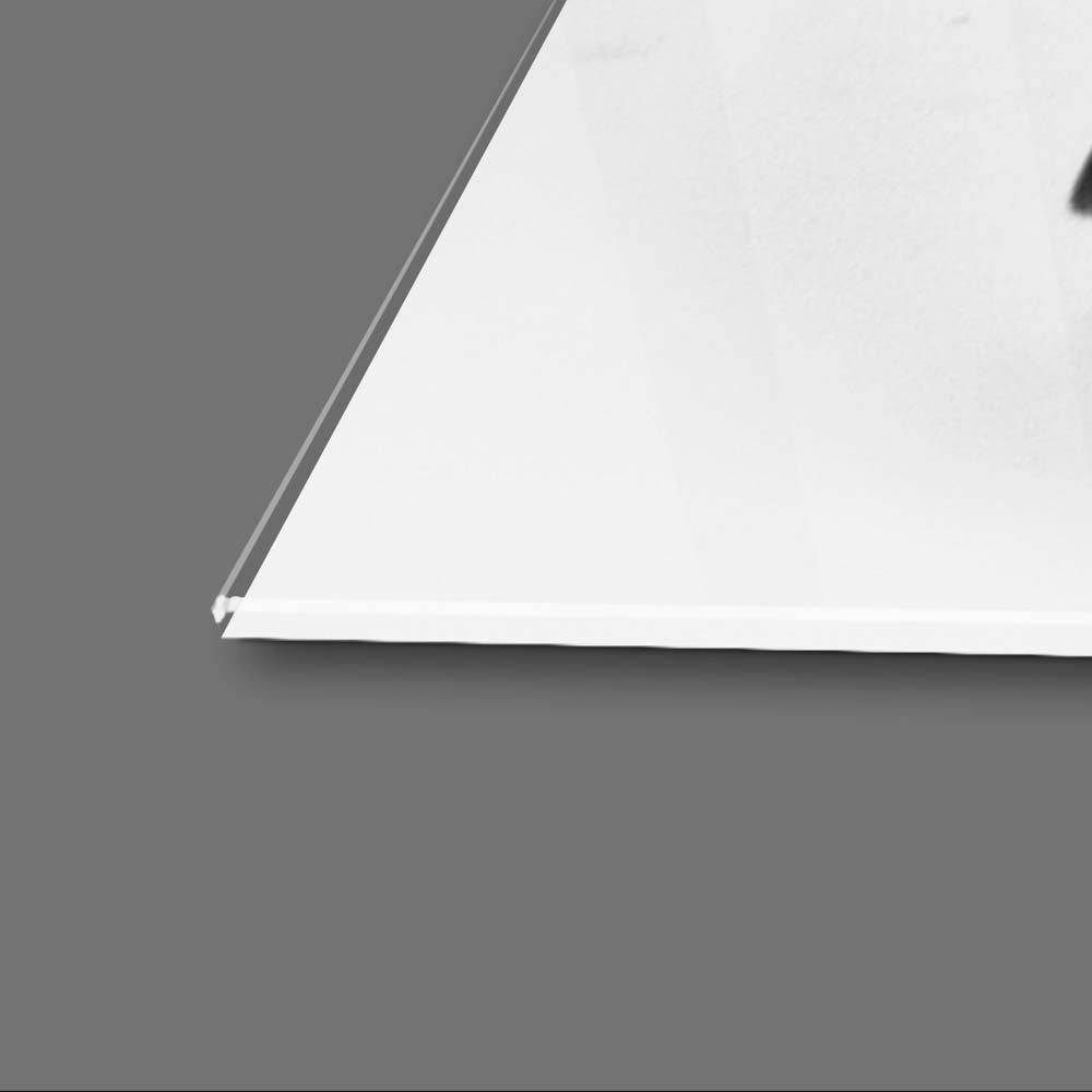 Playful Pug Black and White Glass Wall Art - CreoGlass E-Shop