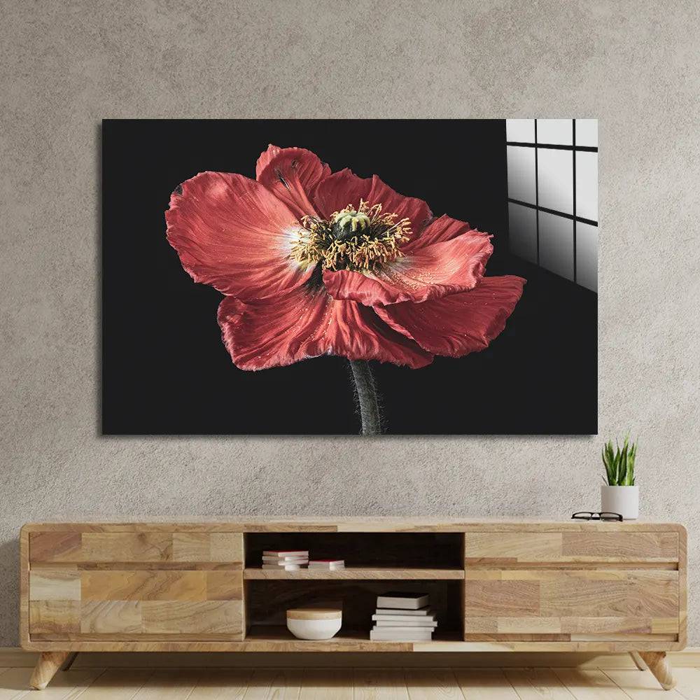 Poppy Glass Wall Art - CreoGlass E-Shop