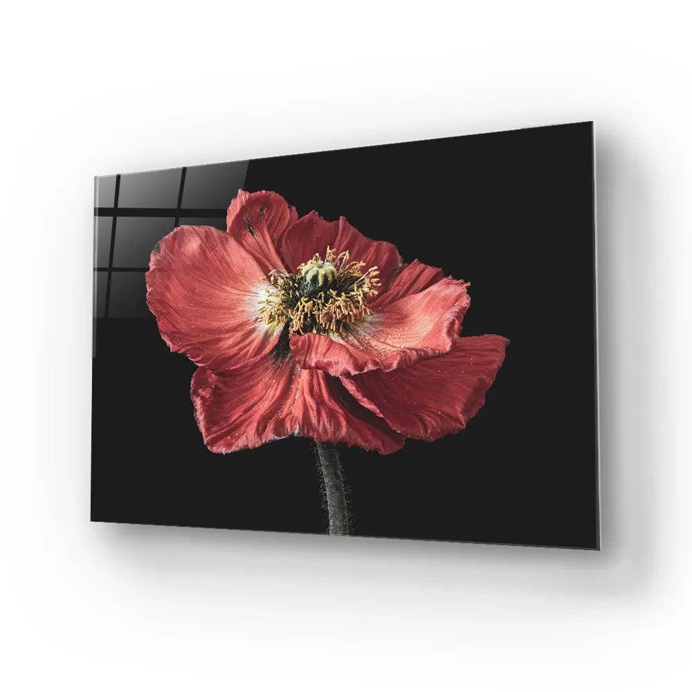 Poppy Glass Wall Art - CreoGlass E-Shop