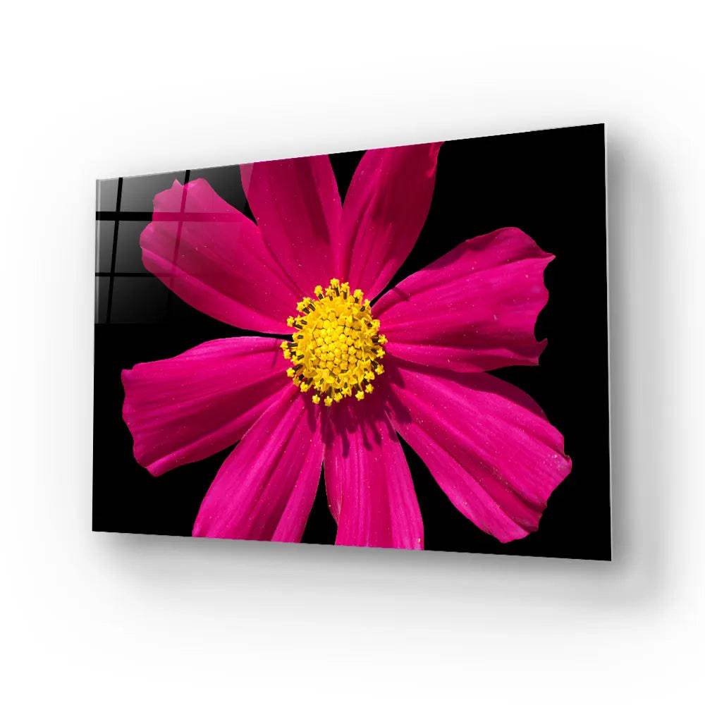 Red Daisy Glass Wall Art - CreoGlass E-Shop