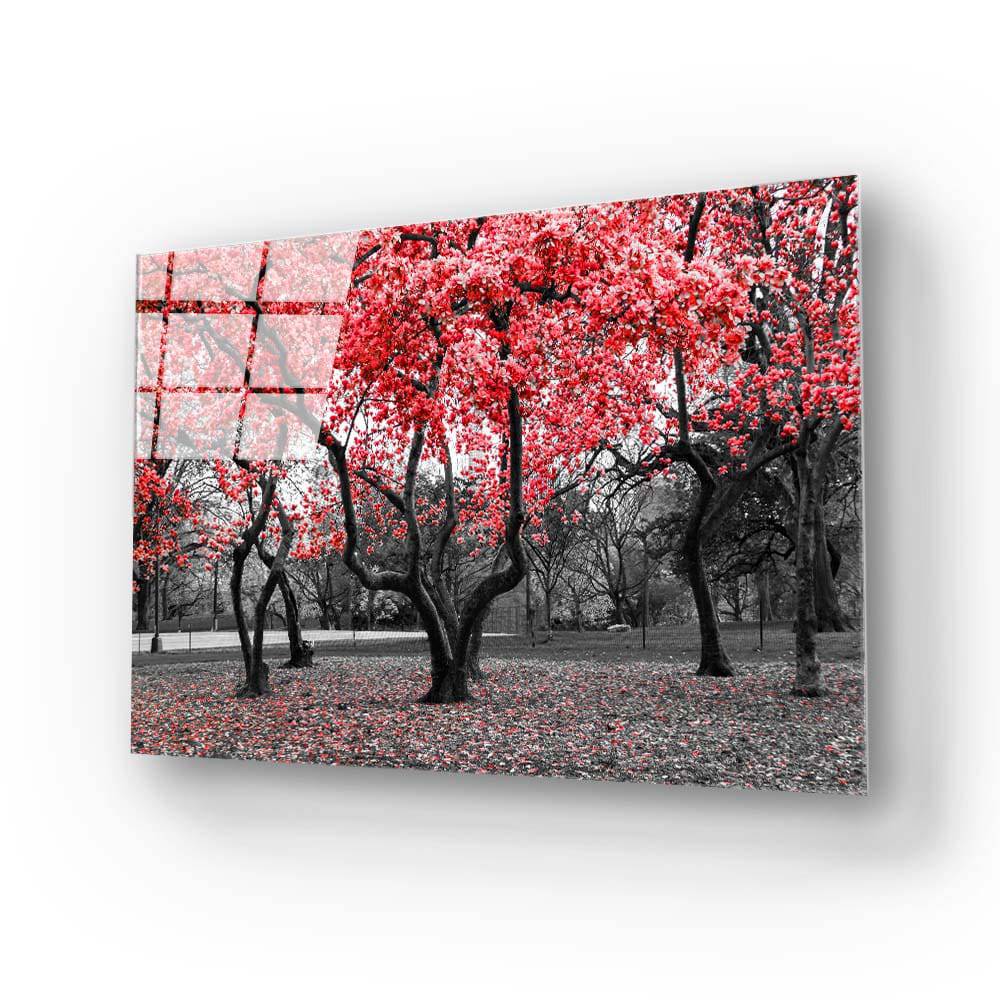 Red Leaves Trees in Park Glass Wall Art - CreoGlass E-Shop