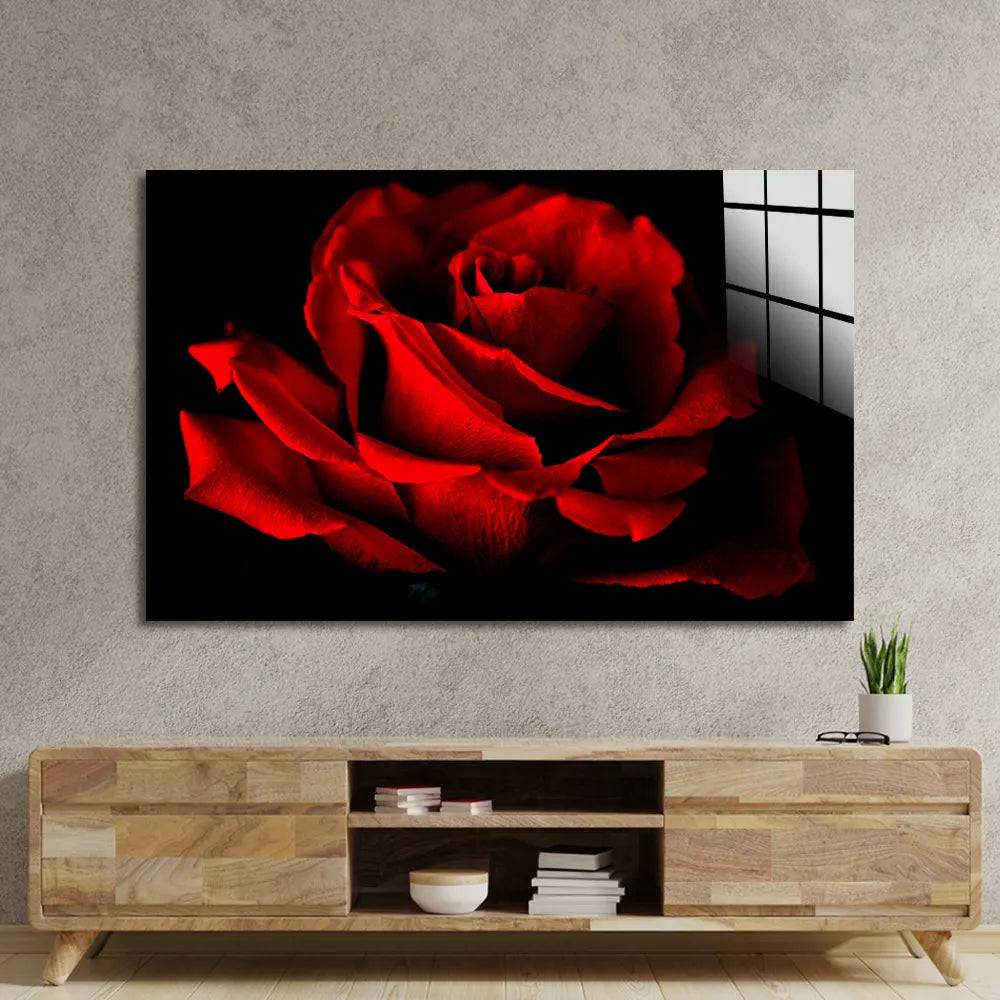 Red Rose With Black Background Glass Wall Art - CreoGlass E-Shop