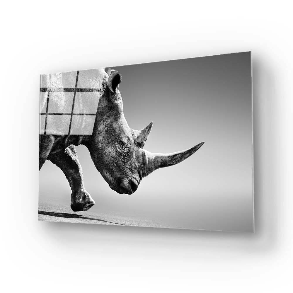 Rhino Black & White Photo Glass Wall Art - CreoGlass E-Shop