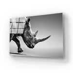 Rhino Black & White Photo Glass Wall Art - CreoGlass E-Shop