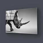 Rhino Black & White Photo Glass Wall Art - CreoGlass E-Shop