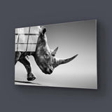 Rhino Black & White Photo Glass Wall Art - CreoGlass E-Shop