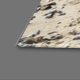 Scenic Beach Groins Glass Wall Art - CreoGlass E-Shop