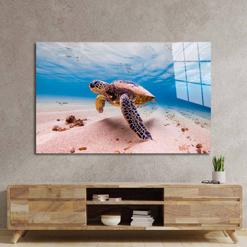 Sea Turtle Glass Wall Art - CreoGlass E-Shop