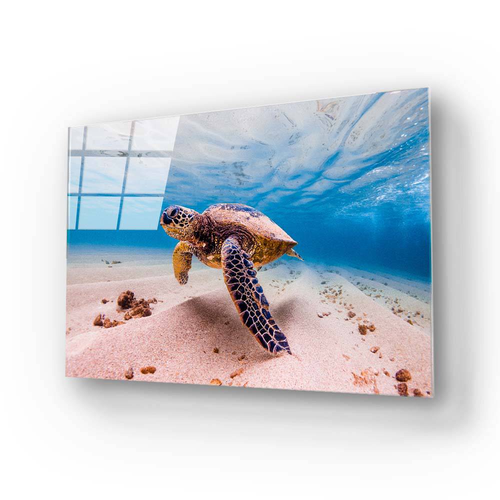 Sea Turtle Glass Wall Art - CreoGlass E-Shop