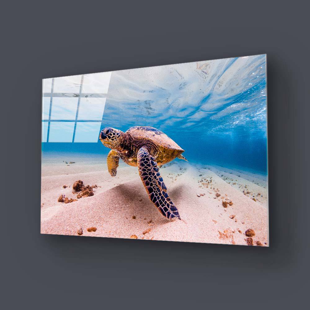 Sea Turtle Glass Wall Art - CreoGlass E-Shop