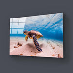 Sea Turtle Glass Wall Art - CreoGlass E-Shop