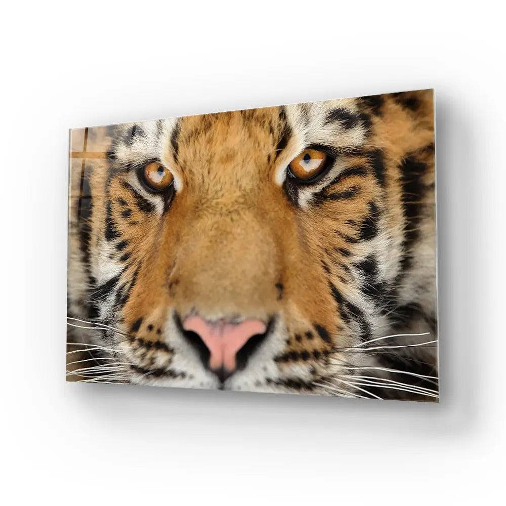 Siberian Tiger Glass Wall Art - CreoGlass E-Shop