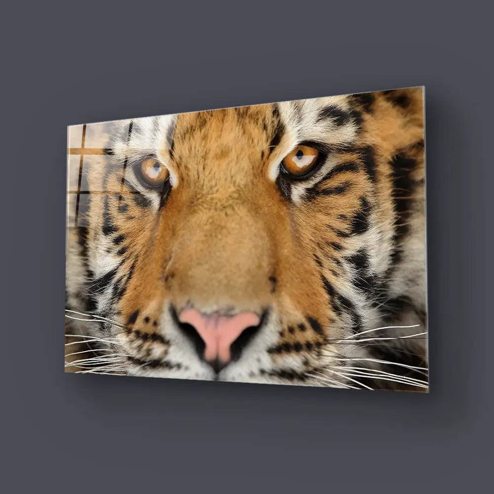Siberian Tiger Glass Wall Art - CreoGlass E-Shop