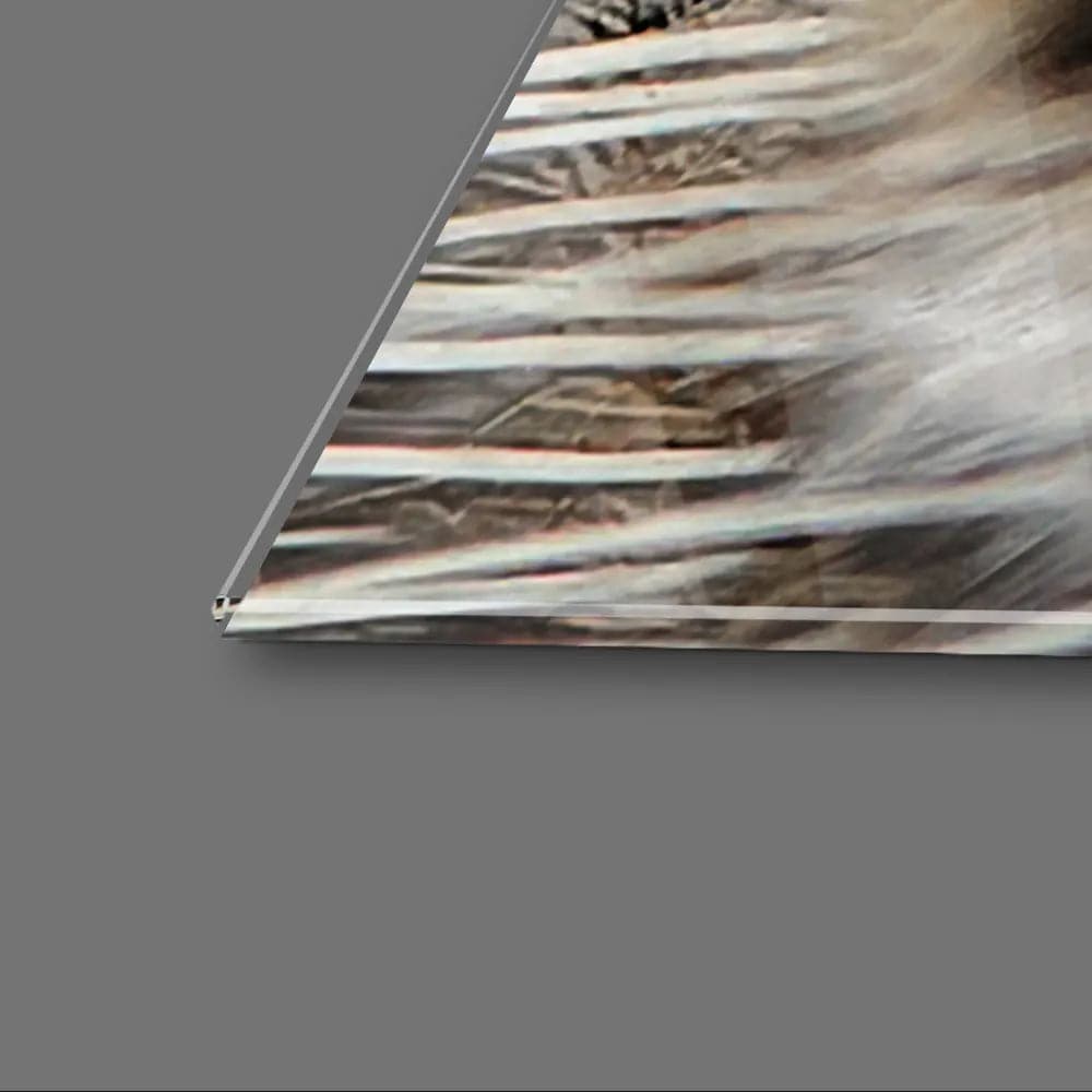 Siberian Tiger Glass Wall Art - CreoGlass E-Shop
