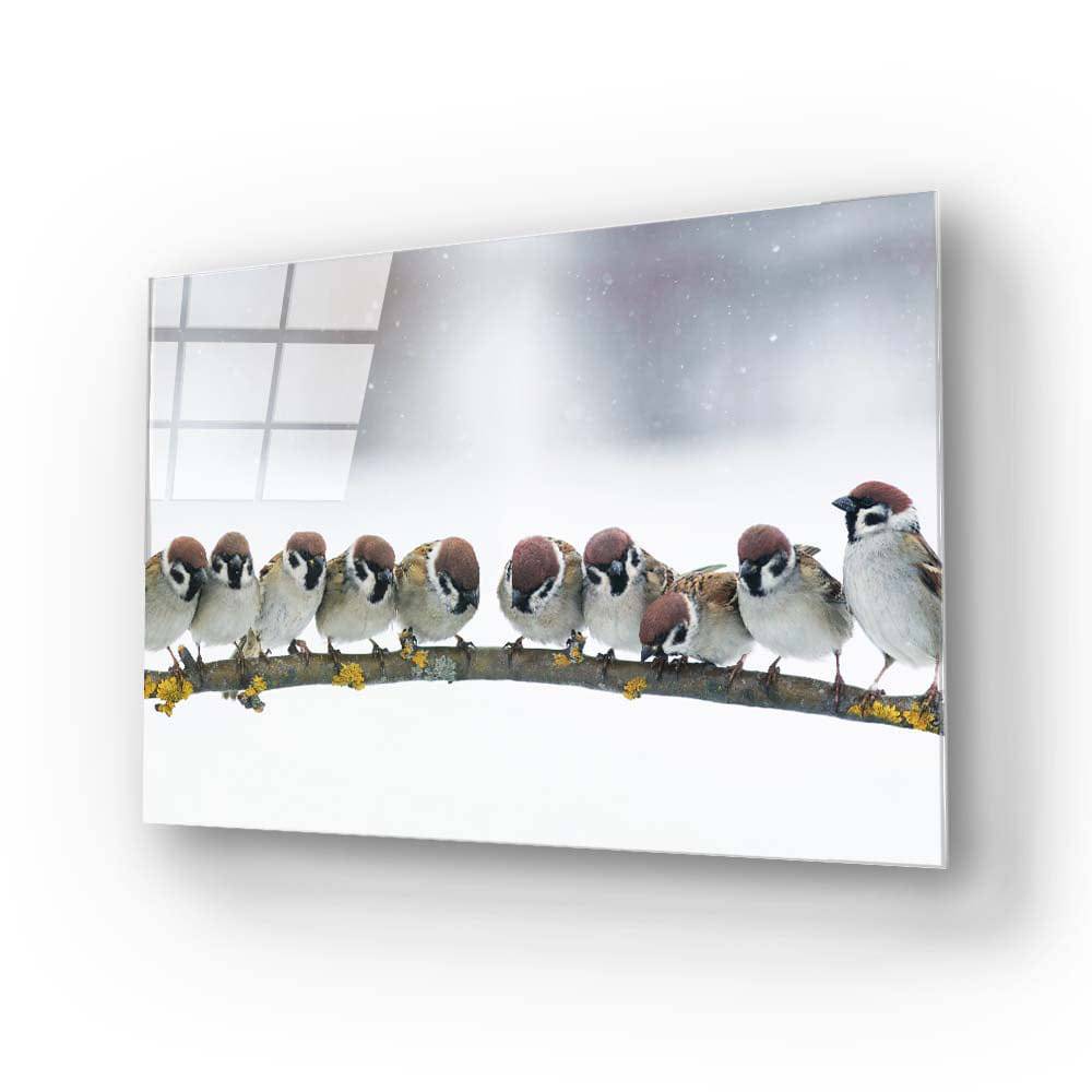 Sparrows Sitting on a Branch Glass Wall Art - CreoGlass E-Shop