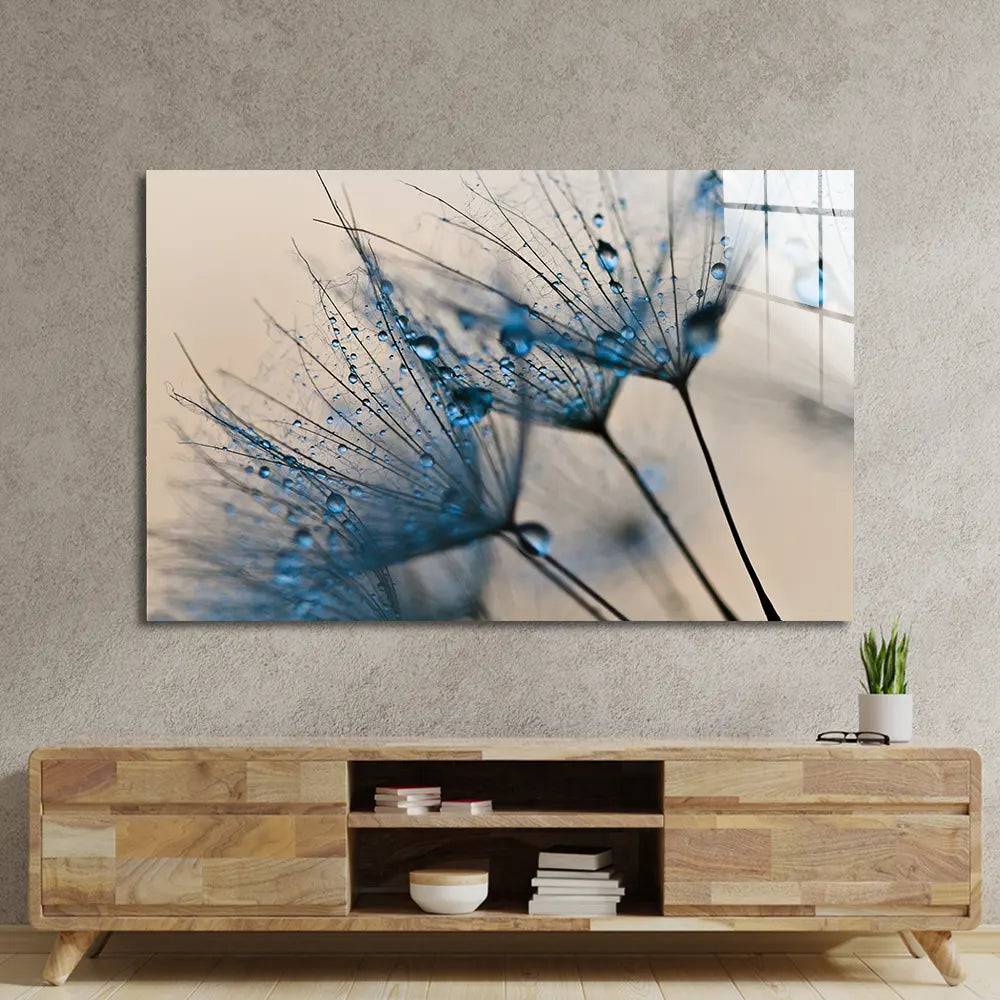 Water Droplets On Dandelion Glass Wall Art - CreoGlass E-Shop