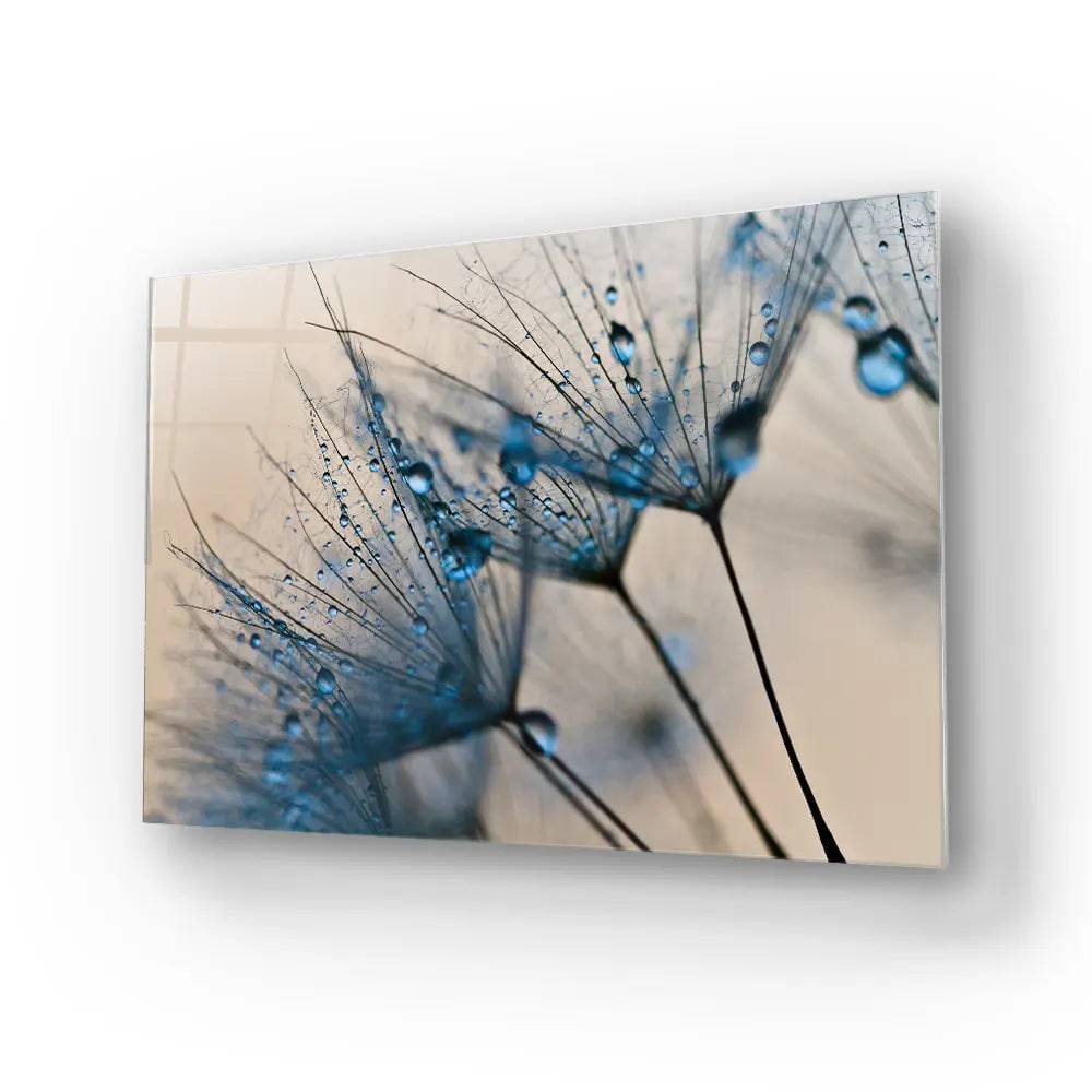 Water Droplets On Dandelion Glass Wall Art - CreoGlass E-Shop