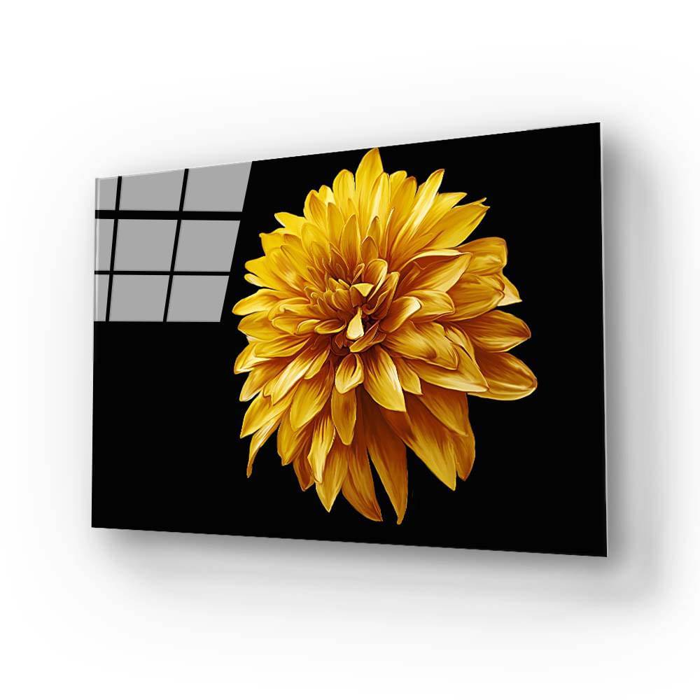 Yellow Chrysanthemum with Black Background Glass Wall Art - CreoGlass E-Shop