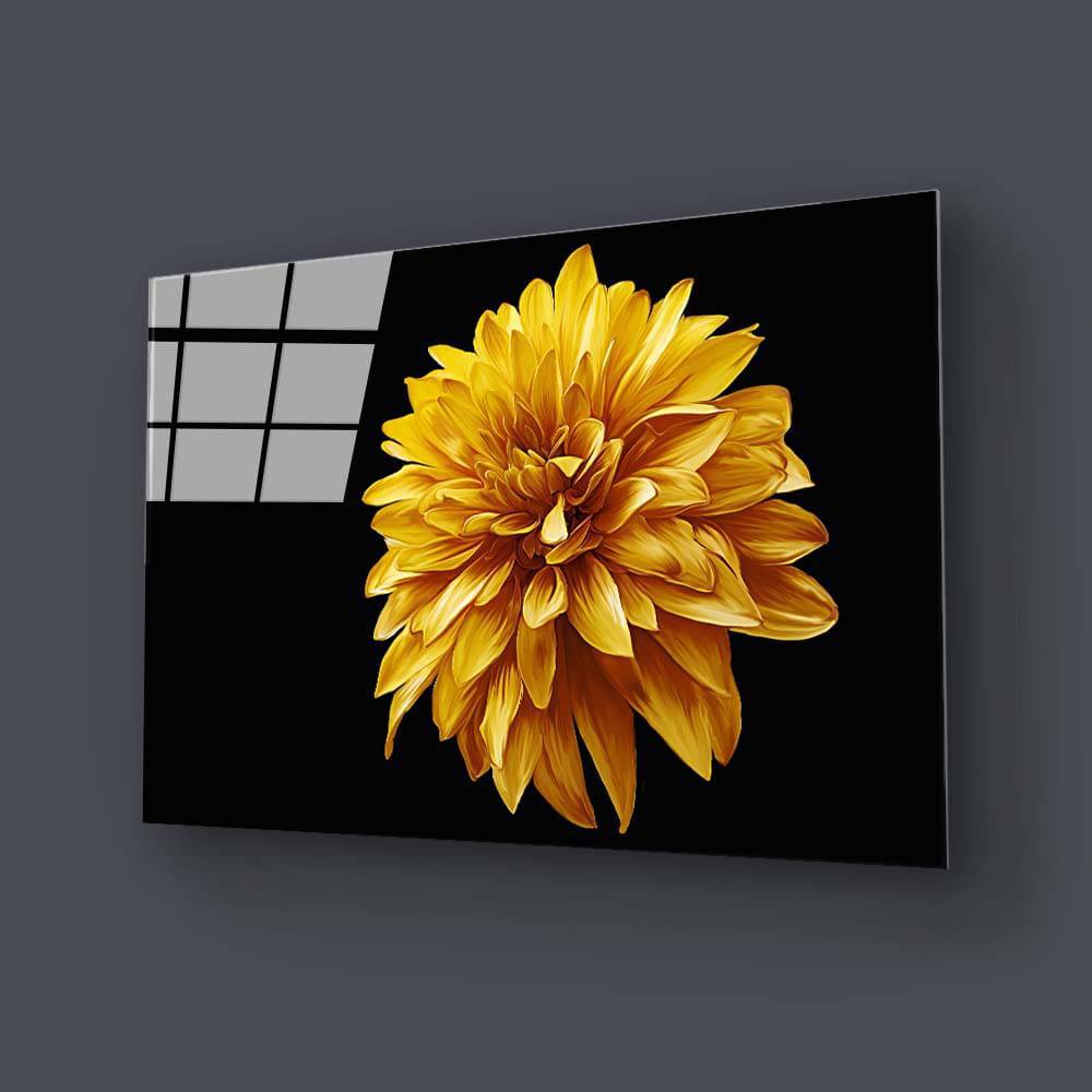 Yellow Chrysanthemum with Black Background Glass Wall Art - CreoGlass E-Shop