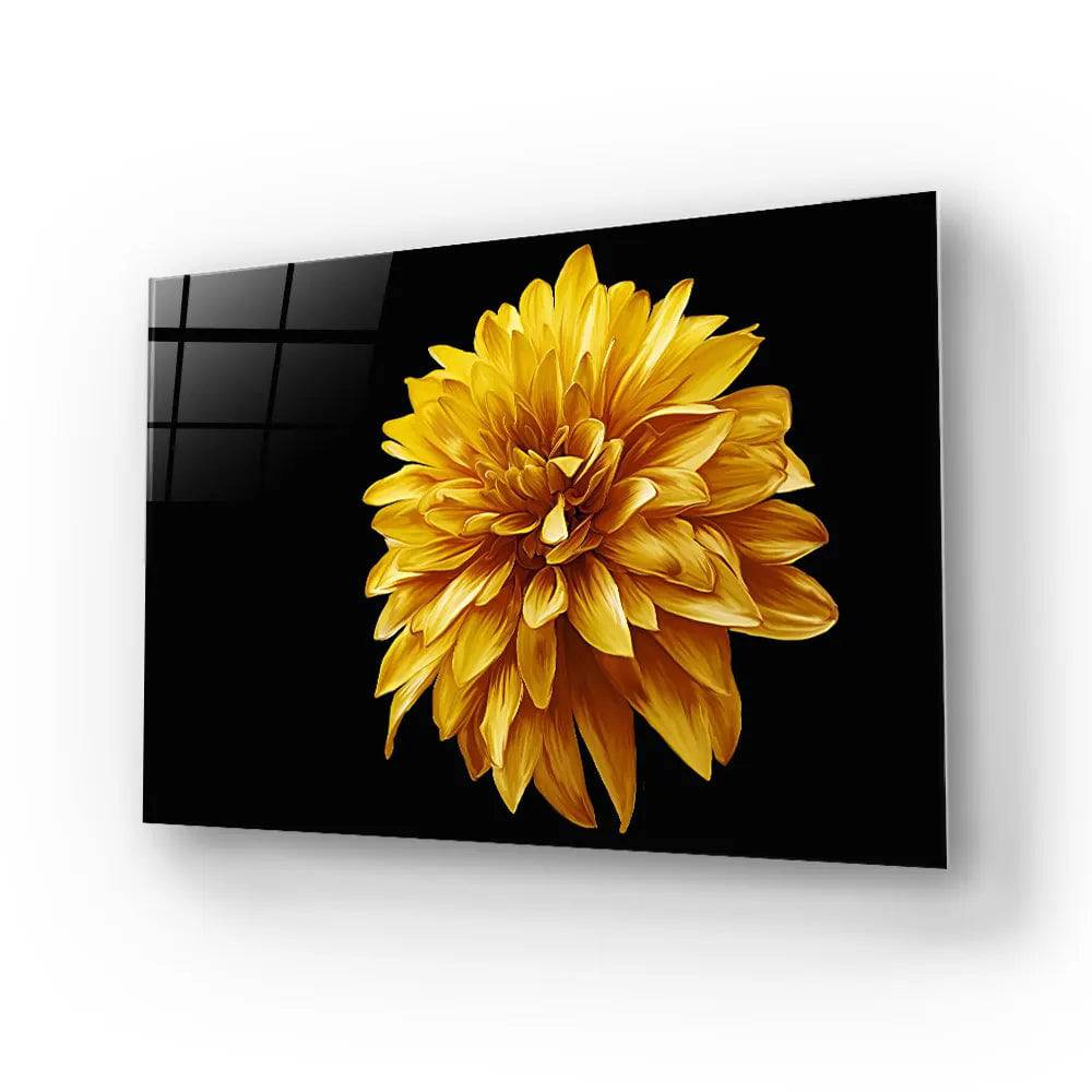 Yellow Chrysanthemum With Black Background Glass Wall Art - CreoGlass E-Shop