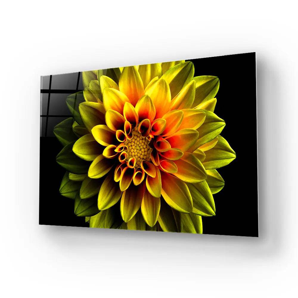 Yellow Dahlia Glass Wall Art - CreoGlass E-Shop