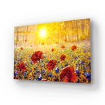 Beautiful Field Flowers Glass Wall Art - CreoGlass E-Shop