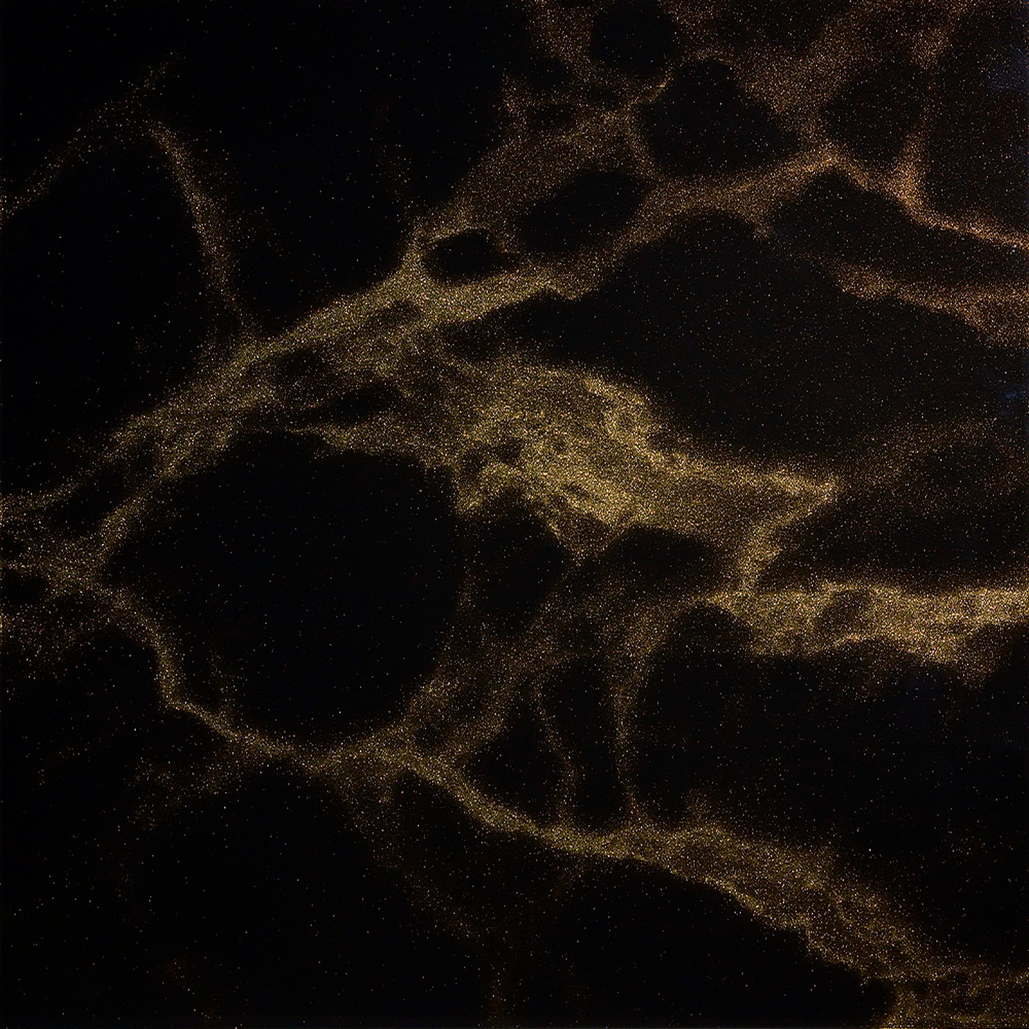 Golden - Black Opera Splashback