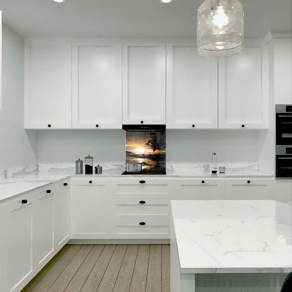 Leaping Dolphin Classic Glass Kitchen Splashback