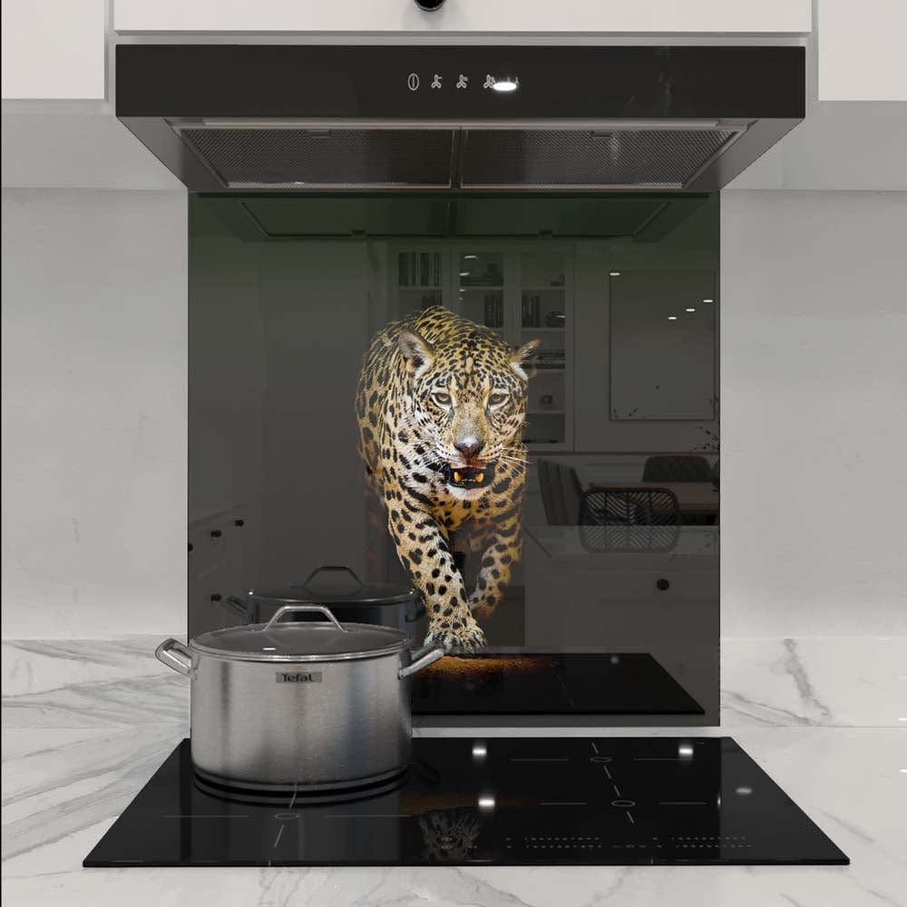 Leopard in Spotlight Glass Kitchen Splashback