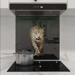 Leopard in Spotlight Glass Kitchen Splashback