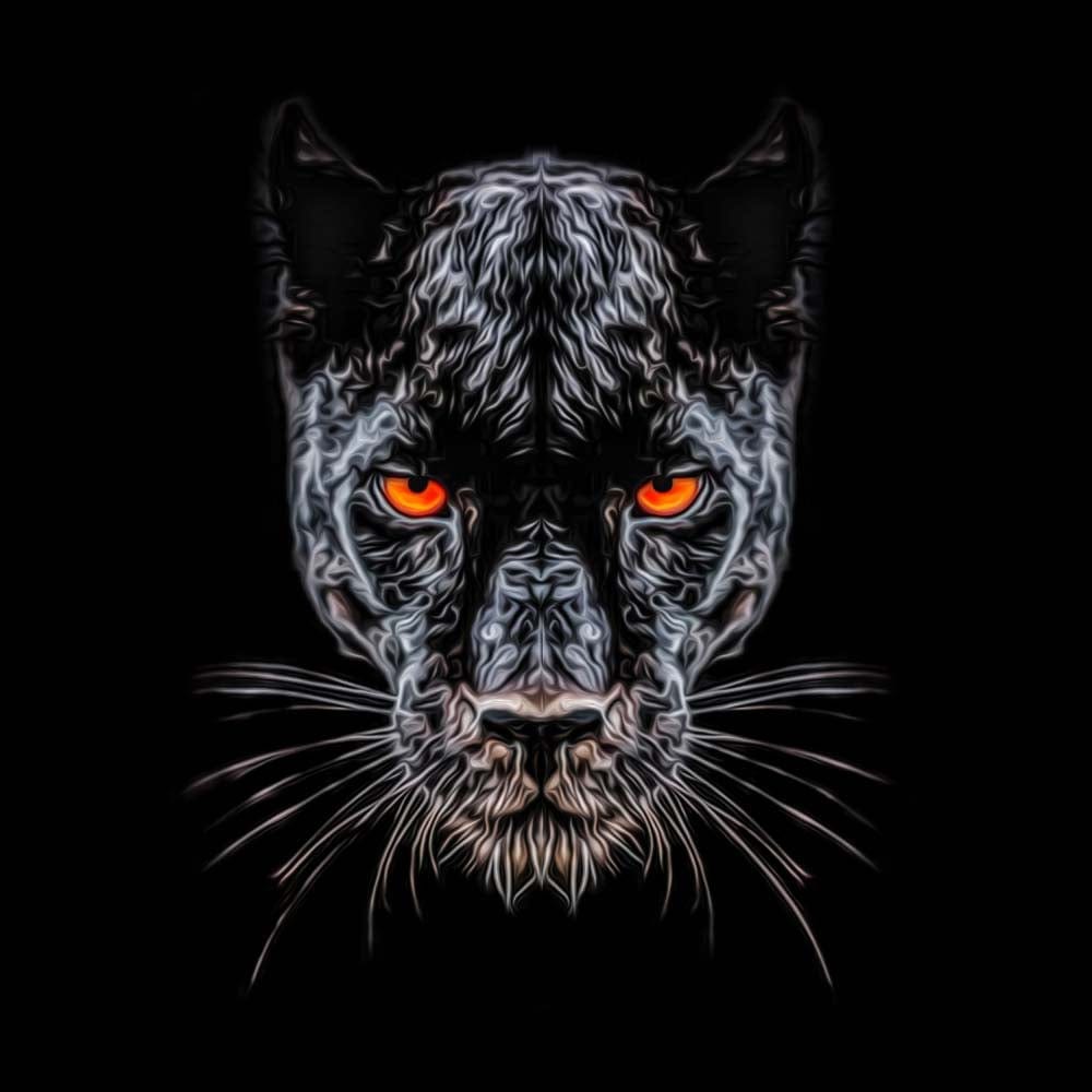 Orange Eyes Panther Glass Kitchen Splashback