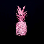 Pink Pineapple Glass Kitchen Splashback