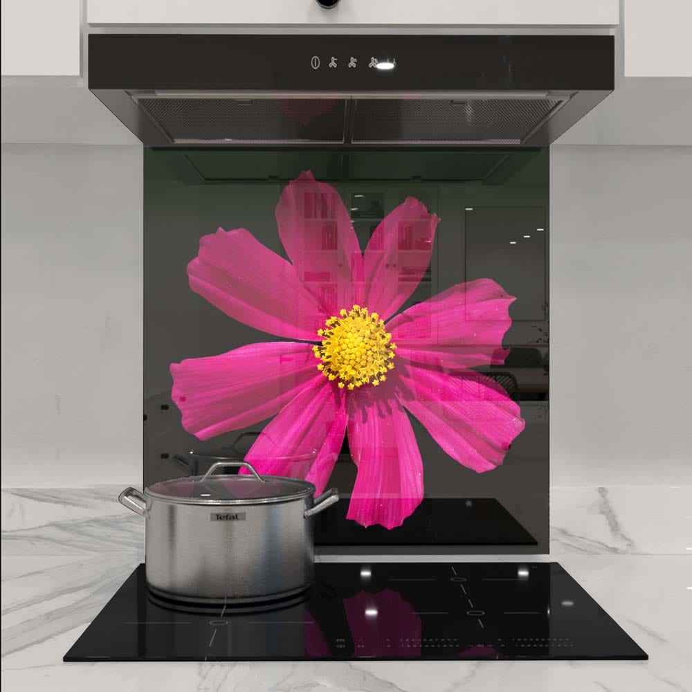 Red Daisy Glass Kitchen Splashback