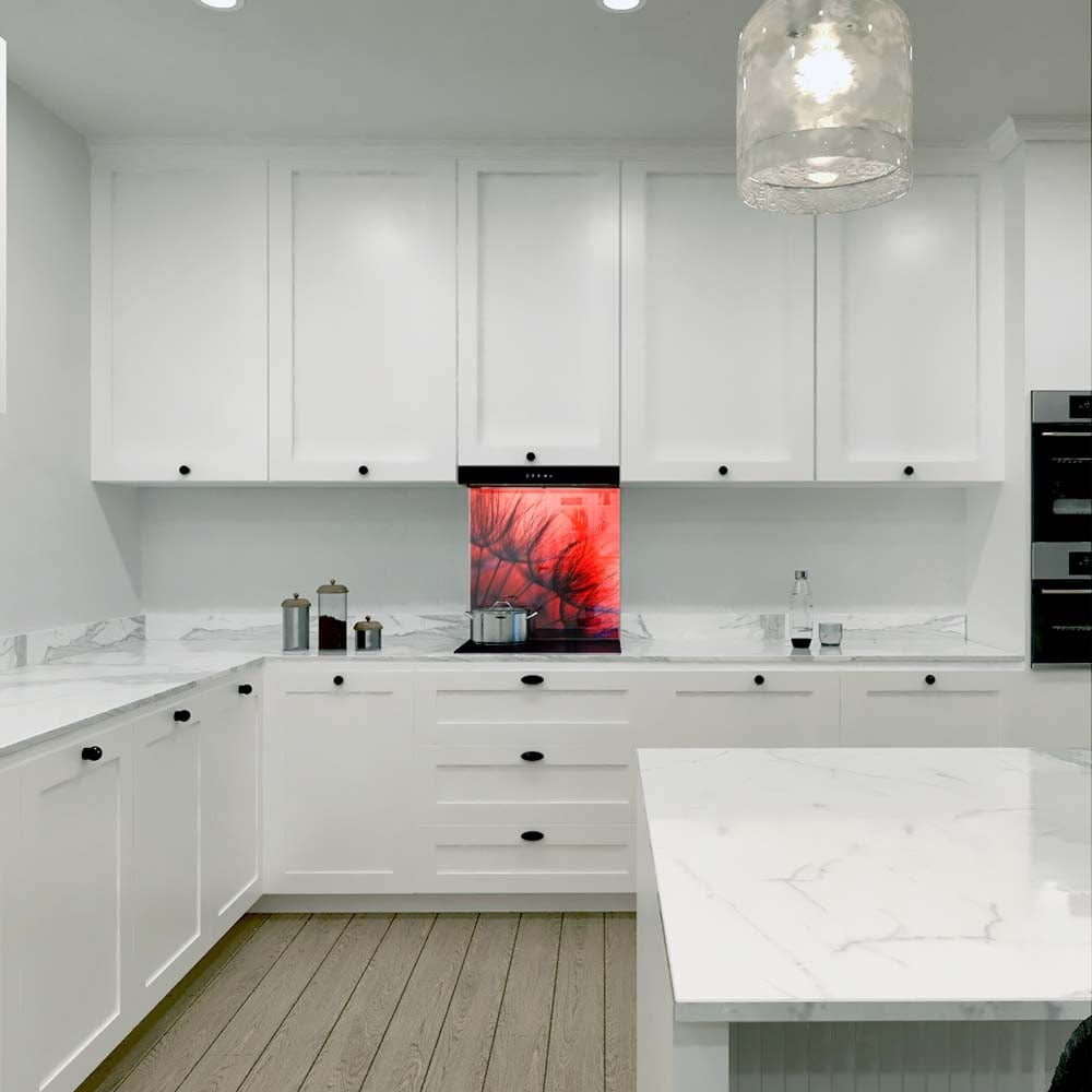 Red Dandelion Glass Kitchen Splashback