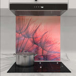 Red Dandelion Glass Kitchen Splashback