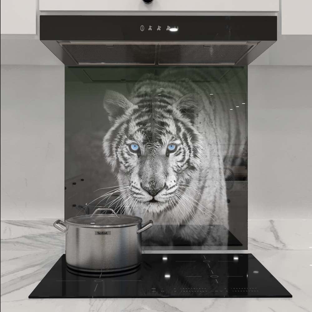 Tiger with Blue Eyes Glass Kitchen Splashback
