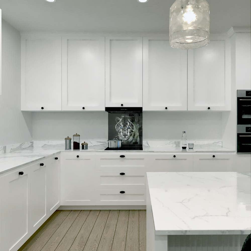 Tiger with Blue Eyes Glass Kitchen Splashback