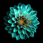 Turquoise Dahlia Glass Kitchen Splashback